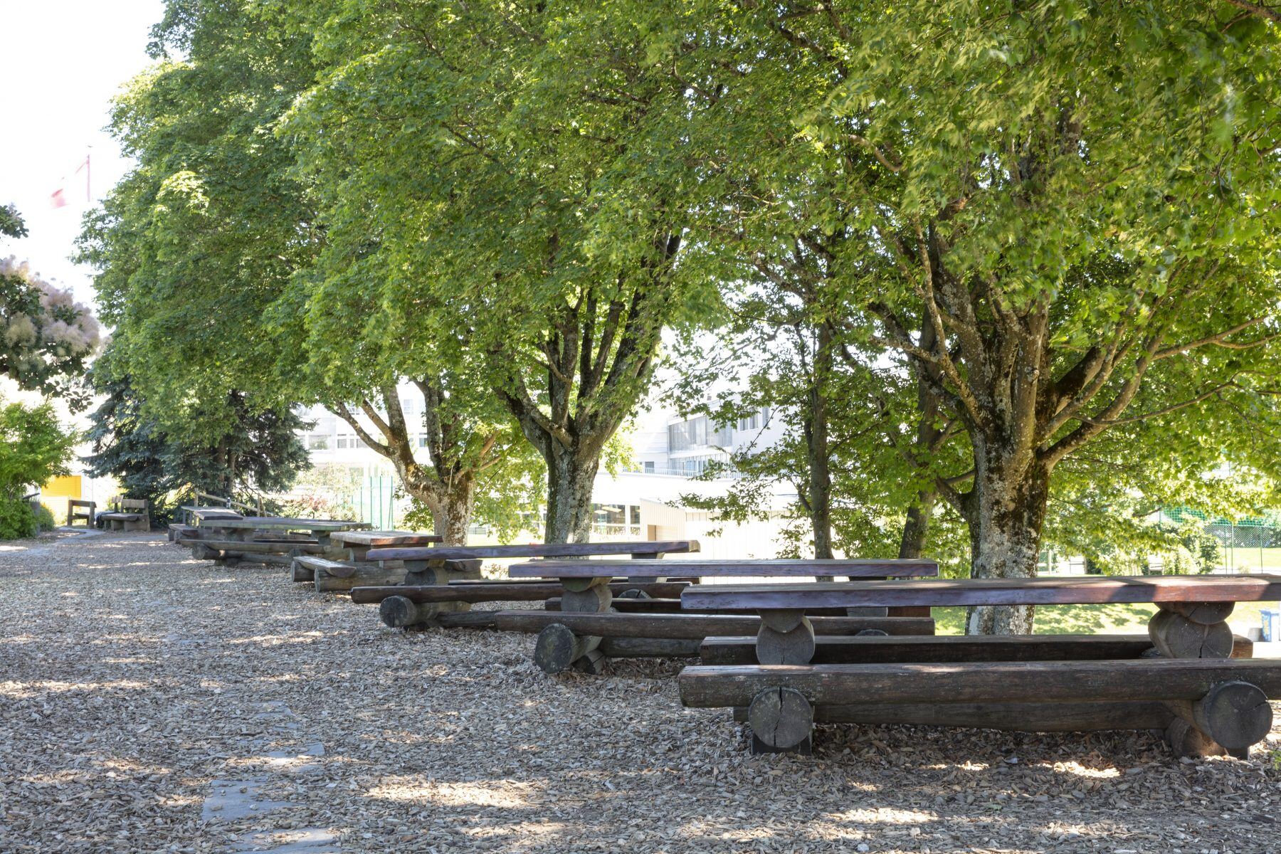 Benches on Campus ISL