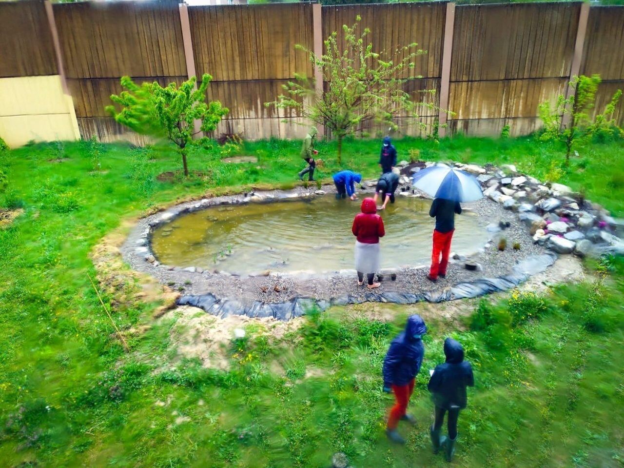 pond-community-garden-creation-4