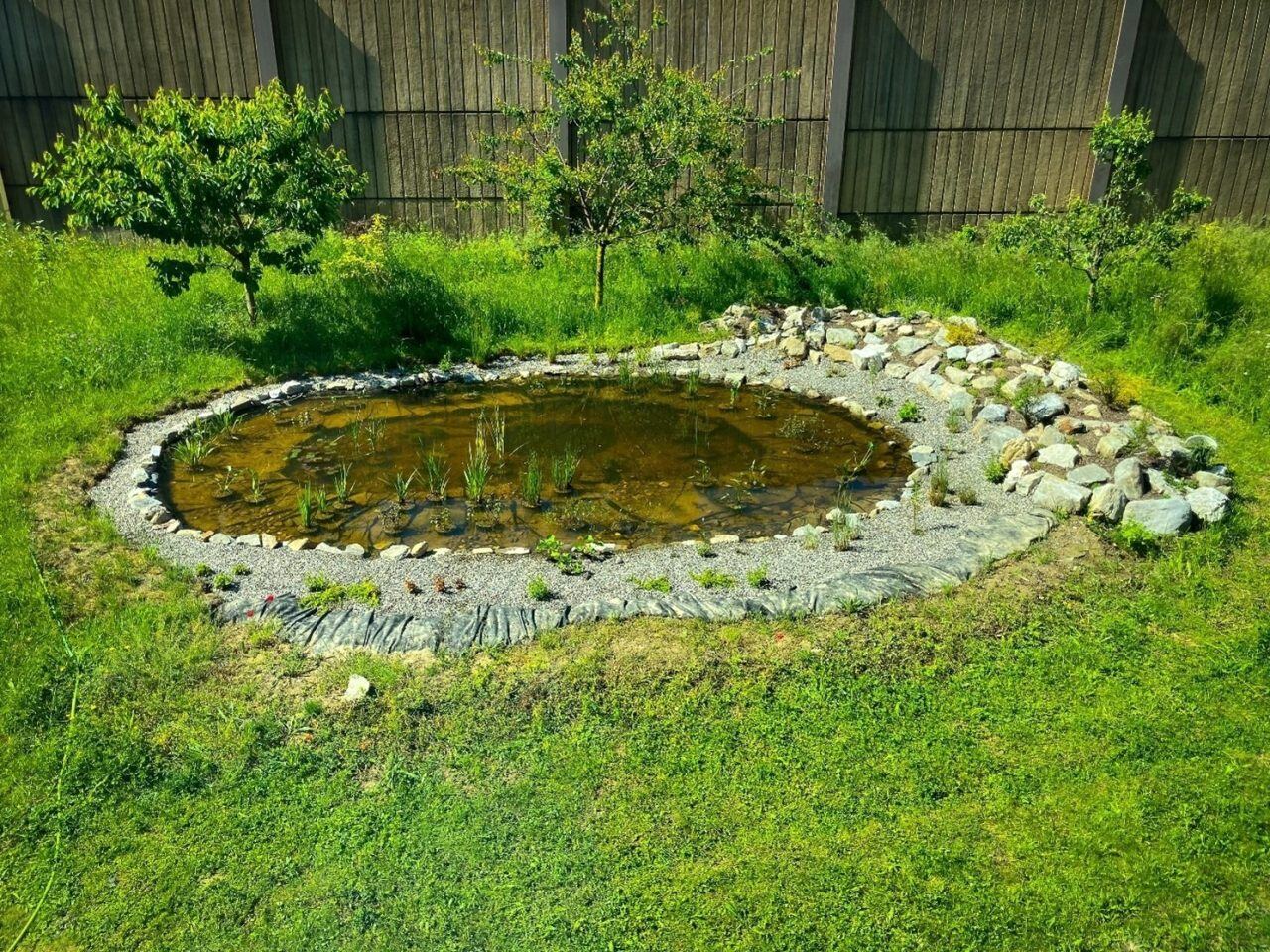 pond-community-garden-creation-5